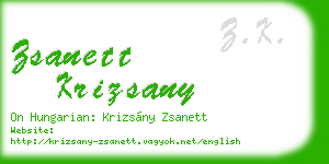 zsanett krizsany business card