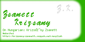 zsanett krizsany business card